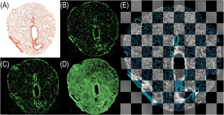 Figure 6