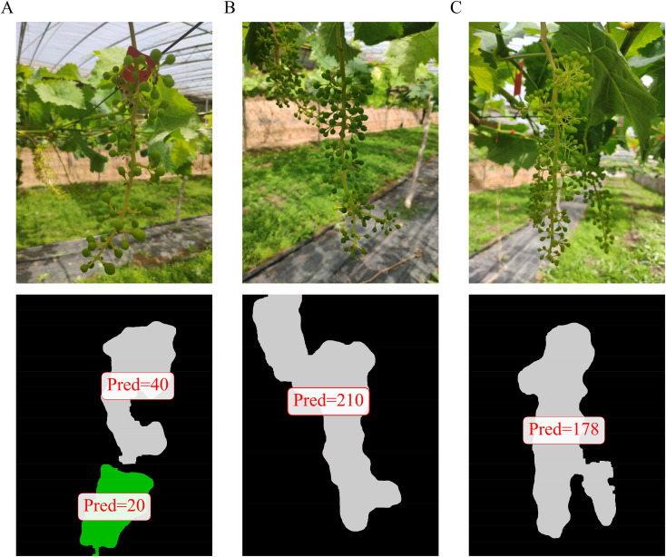 Figure 12