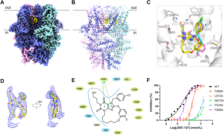 Figure 6