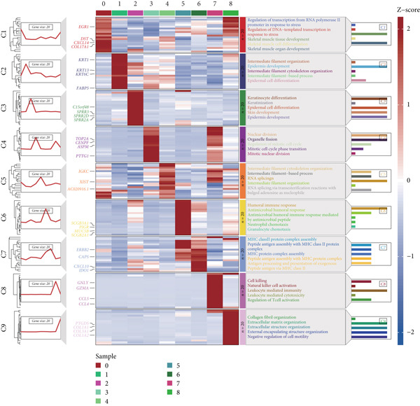 Figure 24