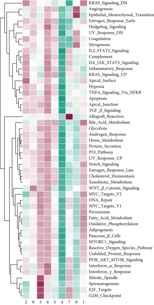 Figure 25