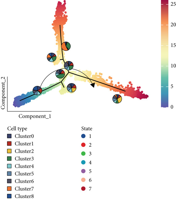 Figure 29