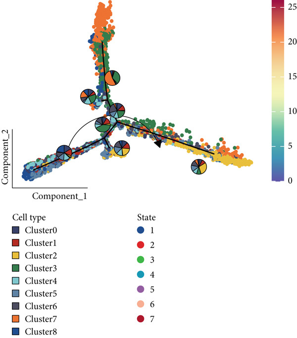 Figure 30