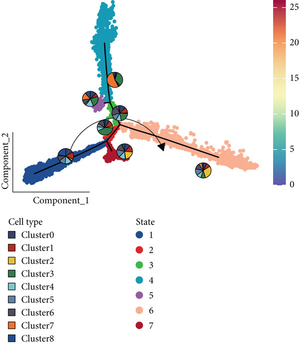 Figure 31