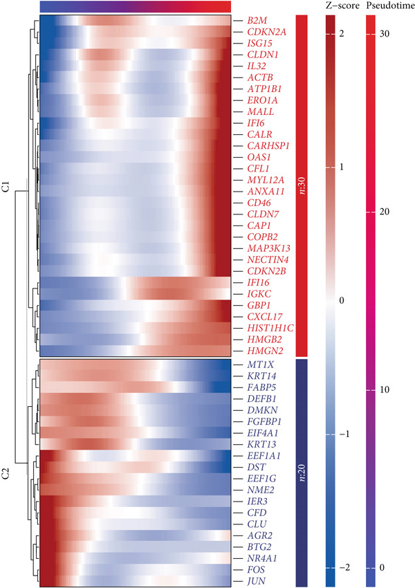 Figure 32