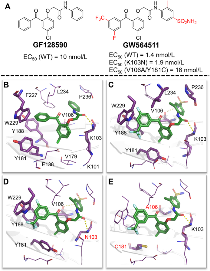 Figure 20