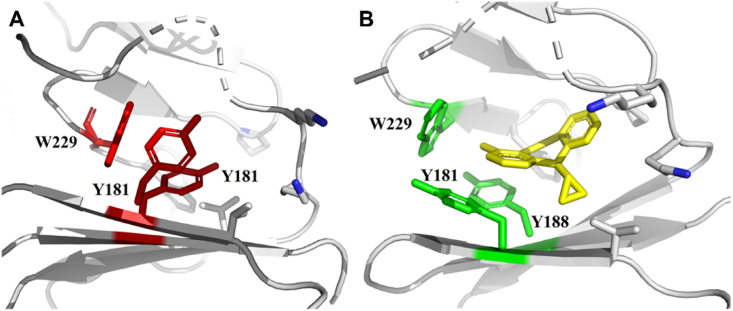 Figure 24