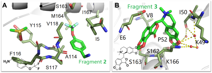Figure 29