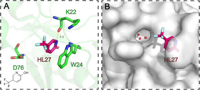 Figure 31