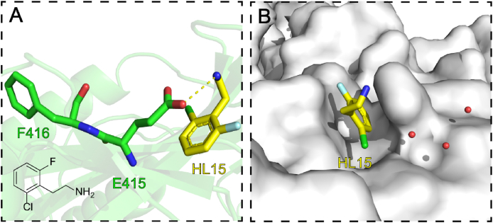 Figure 32