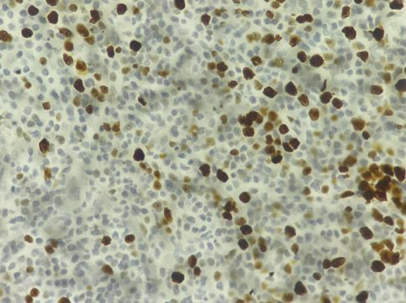 Figure 9
