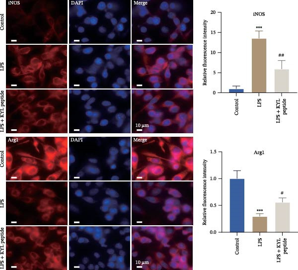 Figure 19