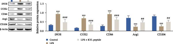 Figure 20