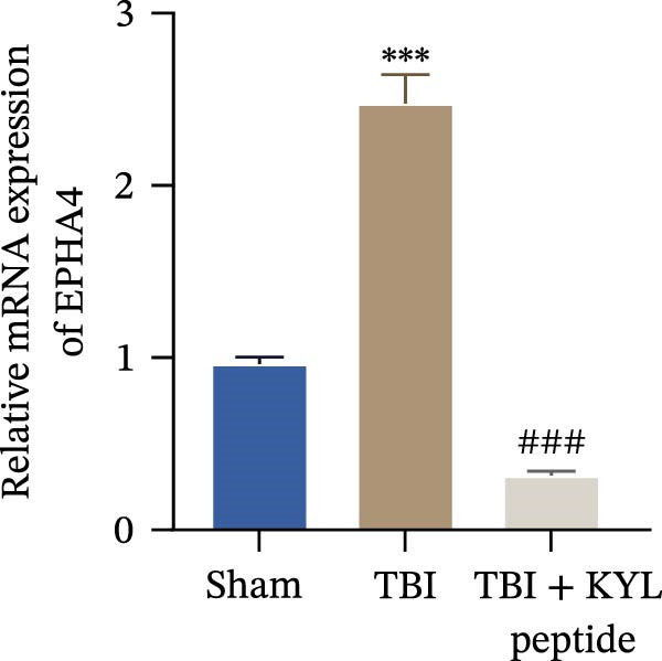 Figure 29