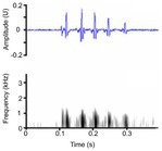 Figure 22