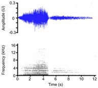 Figure 23