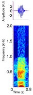 Figure 24