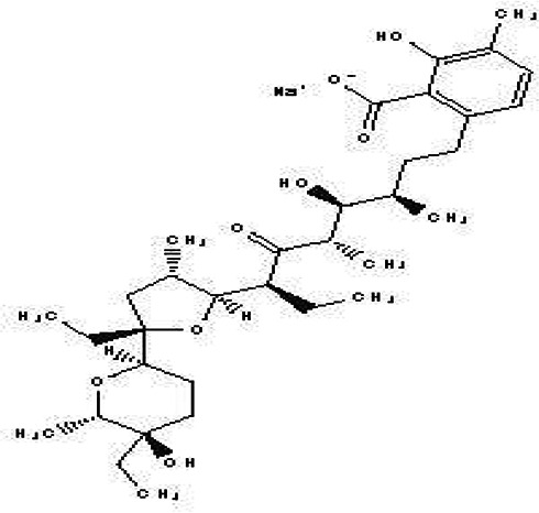 Figure 21