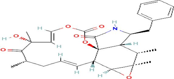 Figure 29