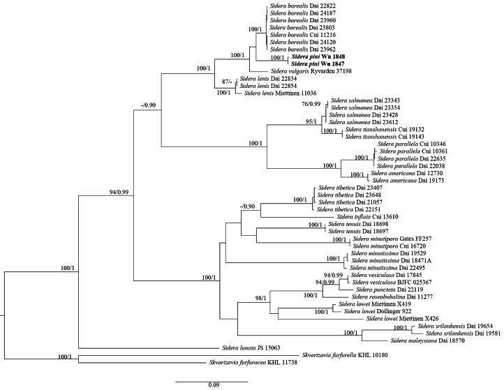 Figure 2