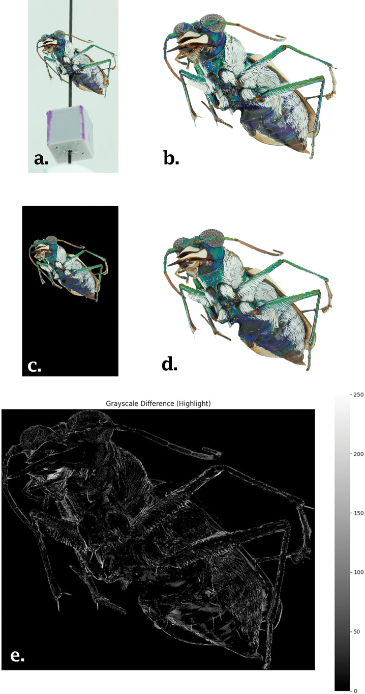 Figure 5