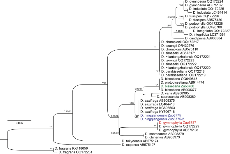 Figure 4