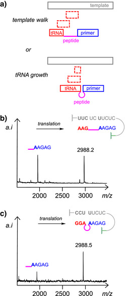 Figure 16