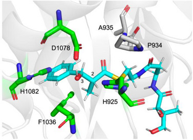 Figure 10