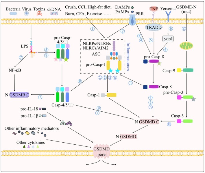 Figure 3