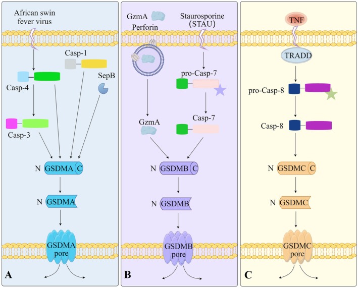 Figure 6
