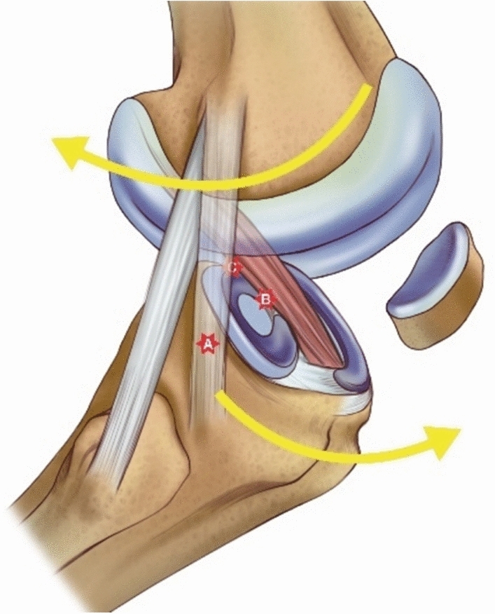 Figure 8