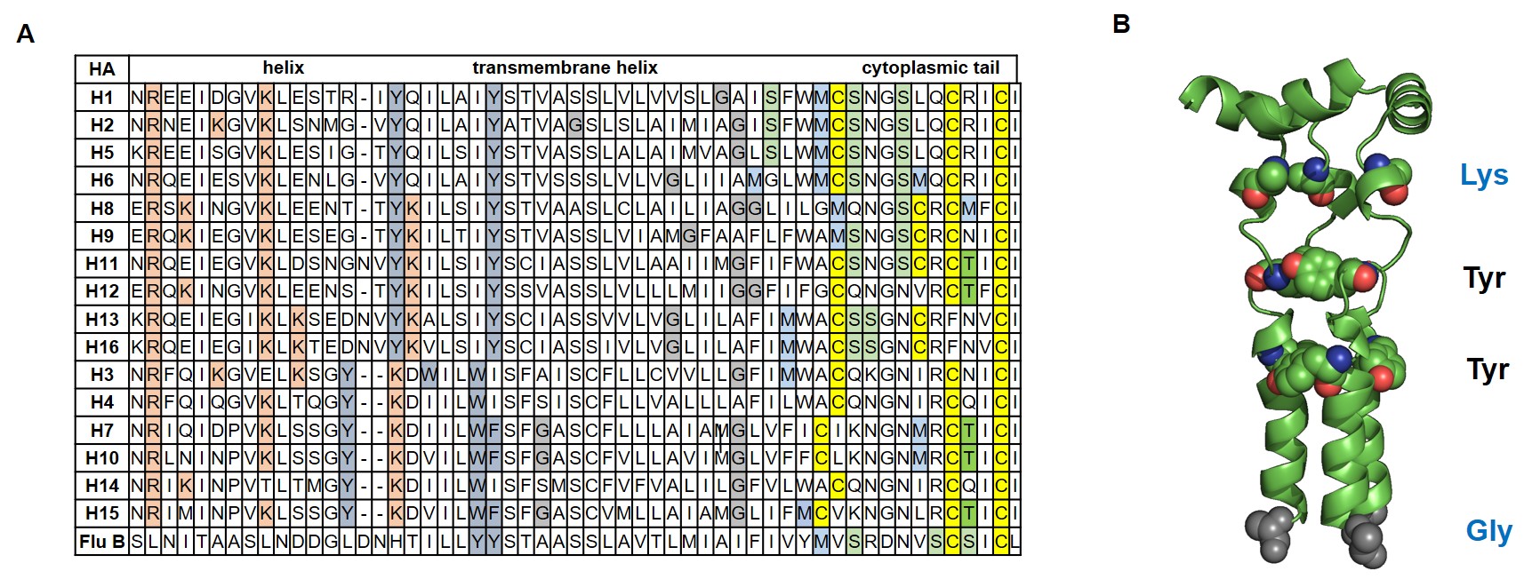 Figure 12