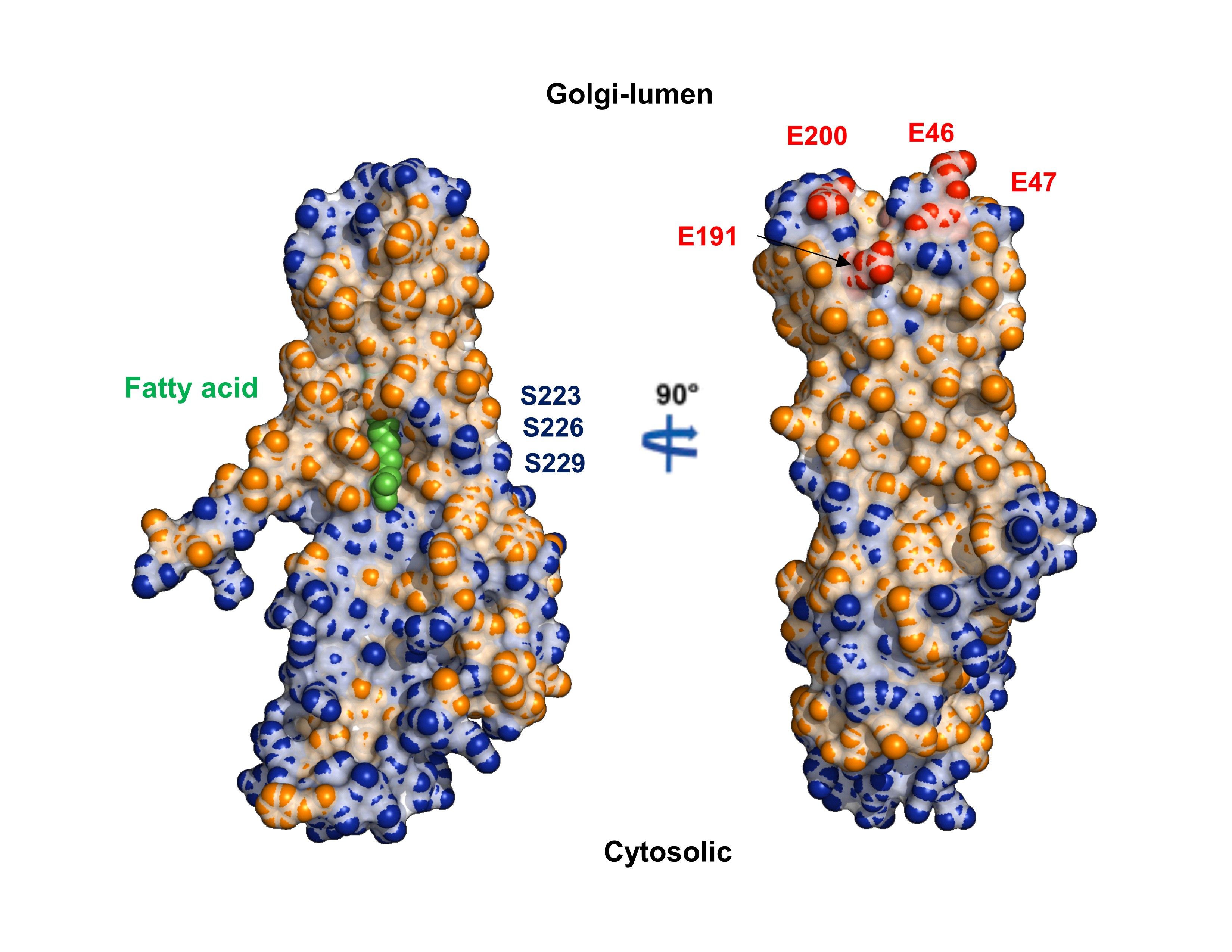 Figure 16