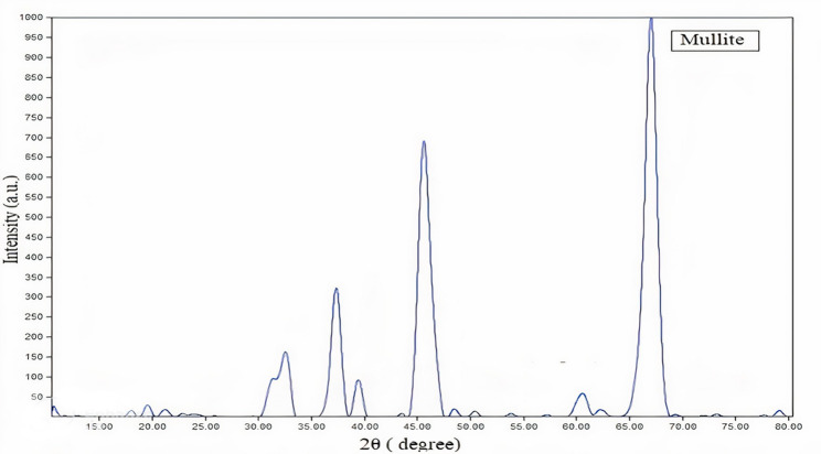 Figure 19