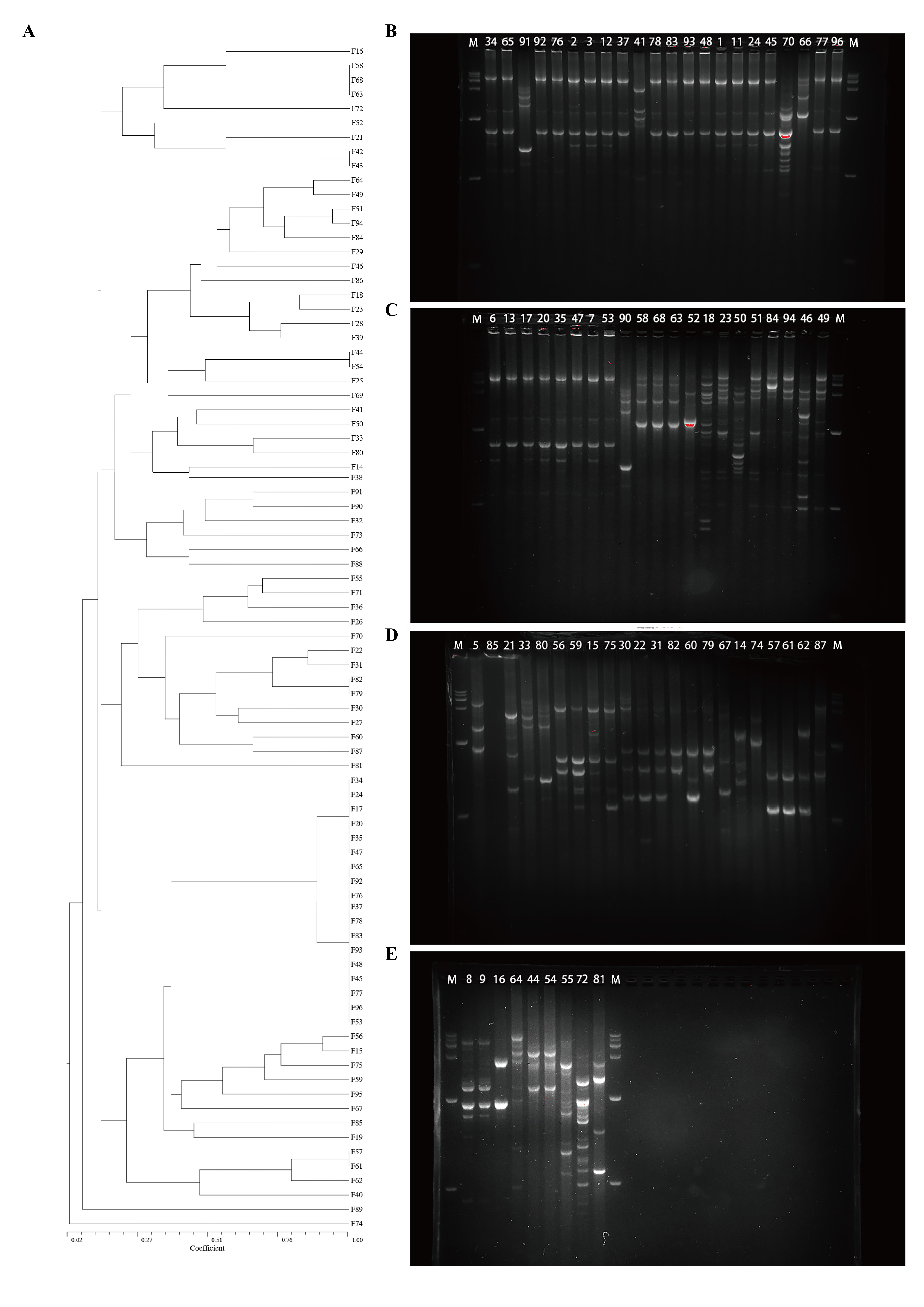 Figure 12