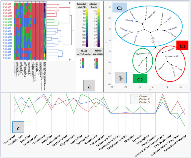 Figure 4
