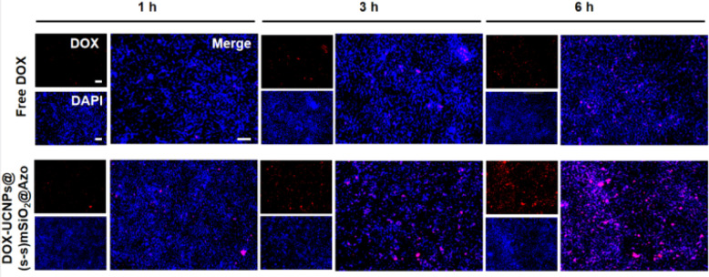 Fig. 11