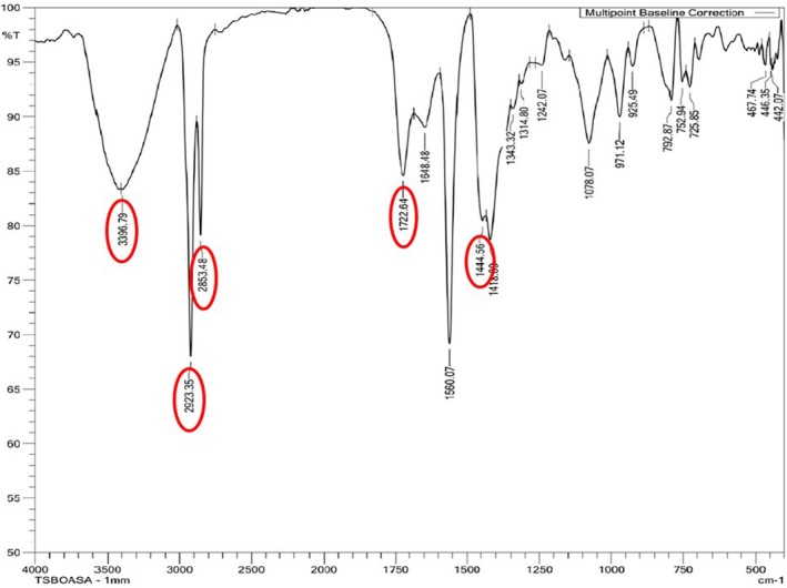 FIGURE 9