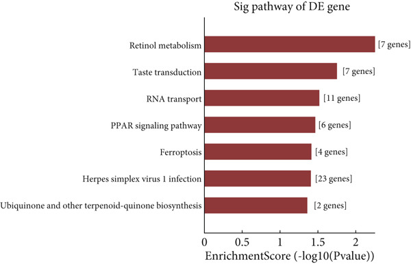 Figure 11