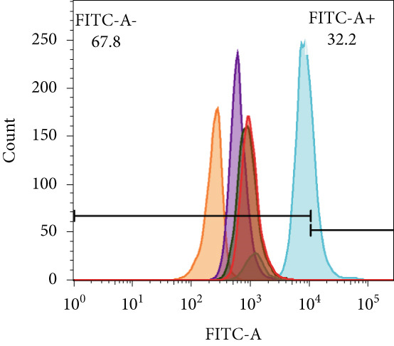 Figure 17