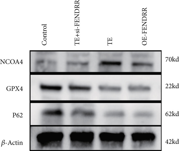 Figure 19