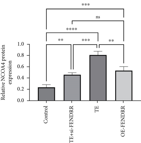 Figure 20
