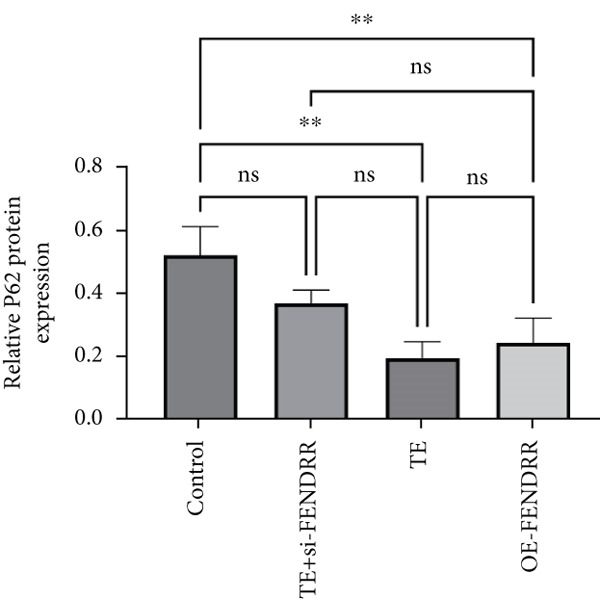 Figure 22