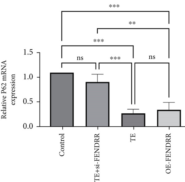 Figure 24
