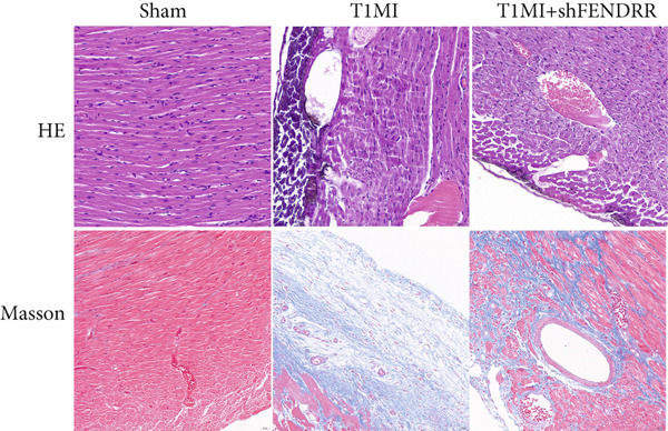 Figure 27