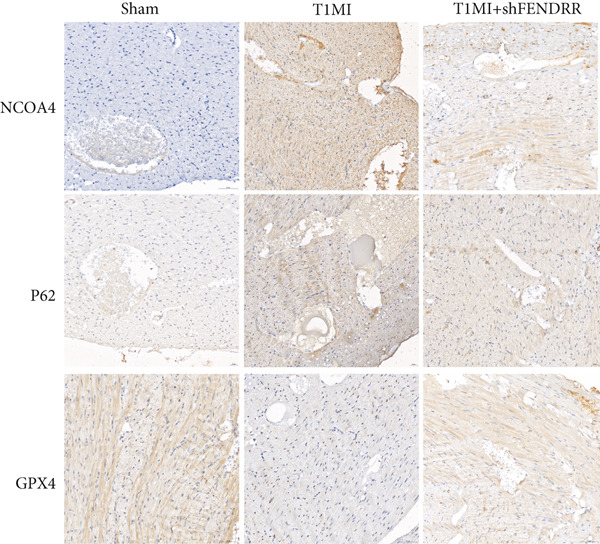 Figure 28