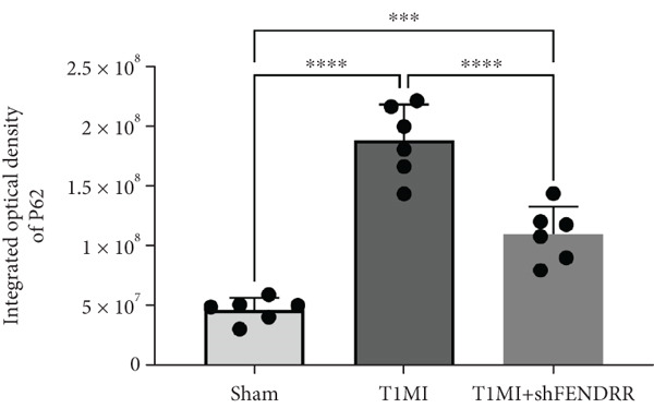Figure 29