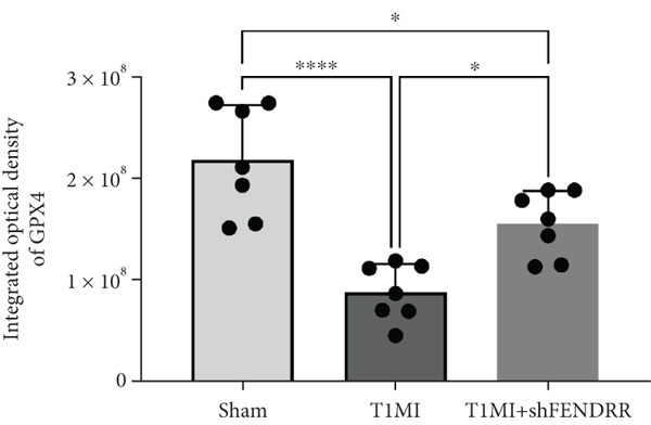 Figure 30