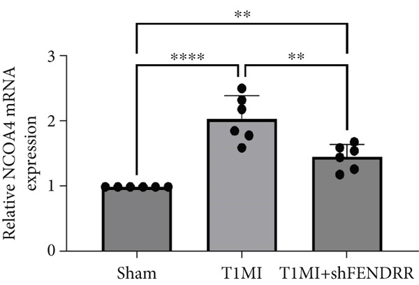 Figure 32