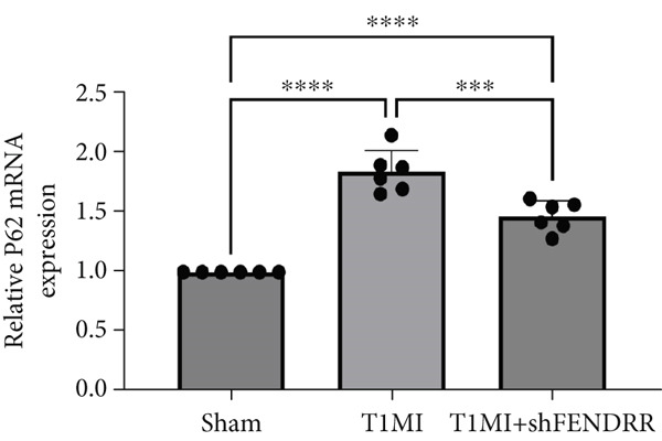Figure 33